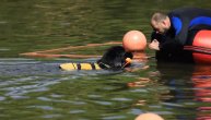 U Rusiji treniraju pse heroje: Rone i spasavaju ljude od utapanja