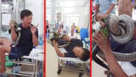 Mladiću se džinovska kobra obmotala oko ruke i zarila zube, doktori mu jedva izvukli živu glavu