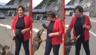 Predivan snimak sa crnogorske granice: Krenula da snima prilog, a onda je stigao najslađi sagovornik
