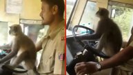 Uđeš u autobus, kad ono majmun vozi, ali bukvalno