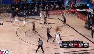 Neverovatan potez srpskog košarkaša: Jokićev pas o kom bruji NBA liga