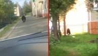 Medved trčao ulicama ruskog grada, viđen pored ograde vrtića