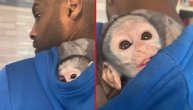 Mačak u džaku, vrabac u ruci ili majmunče u kapuljači: Neodoljivo stvorenje ušuškalo se u duksu