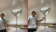 Da li ovaj dečko ima običnu ili džinovsku čašu za vino?