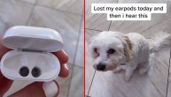 Pas ili zvučnik? Slušalice su joj misteriozno nestale a onda je čula muziku u blizini