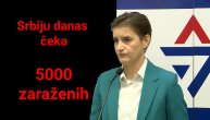 Brnabić: Danas novi "crni rekord", očekujemo iznad 5000 zaraženih