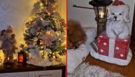 Ana Korać napravila novogodišnju čaroliju u svom domu, jedan detalj su primetili svi