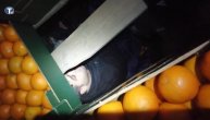 Carinici u kamionu sa pomorandžama pronašli bunker, a u njemu četiri migranta