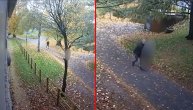 Horor scena u parku u Engleskoj: Pedofil pokušao da siluje dete naočigled prolaznika