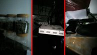 Policija otkrila laboratoriju za proizvodnju opojne droge, zaplenila oko dva kilograma marihuane