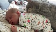 Bebica tako slatko zadremala na majčinom stomaku da ni mačka nije odolela da se ne pridruži