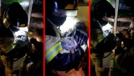 Veliko srce Vatrogasne brigade: Spasili macu nakon što je otrovana gasom