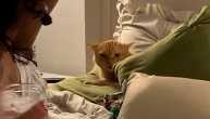 Posesivan ili omađijan: Mačak agresivno nasrnuo na devojku kao da su ga zaposeli zli demoni