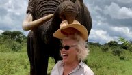 Slon proždrljivac šešira! Gospođi ukrao, pa sažvakao omiljeni poklon od sestre
