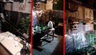 Hapšenje zbog ilegalne laboratorije za uzgoj marihuane