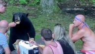 Piknik za ne poverovati: Veliki medved seo sa ljudima za sto, pa pojeo sendvič