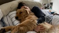 Baš ga briga, on uživa: Zlatni retriver postao internet senzacija