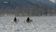 Gde će da spavaju nije ih briga ali pronose slavu Jakutije: Pohod sibirskih konjanika na Evropu