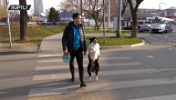Ovaj pas zna da natoči gorivo u rezervoar i da hoda kao čovek: Komandu "sedi" je odavno savladao