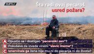 Postiže zen, pobegao od žene ili traži internet slavu: Šta radi pecaroš usred požara?