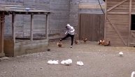 Ju, crni Ša! Reper ide po dvorištu i šutira nedužne životinje