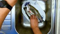 Saveti profesionalnog kuvara: Evo kako najlakše da očistite svežu ribu