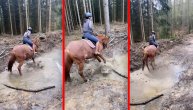 Konj glumi pecaroša: Devojka ga jahala a on kopitima navalio na baru