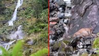 Potresan video: Košuta se okliznula pa se stropoštala niz vodopad sve do tužnog kraja