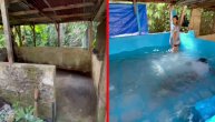 Evo kako da od svinjca napravite bazen: Nije šala ljudi su zaista uspeli!