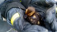 Pače pronađeno uplašeno i samo u odvodu kanalizacije: Spasioci učinili sve da ga izvuku