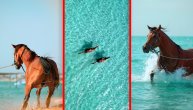 Da li je ovo plaža iz raja? More čisto kao suza a u vodi preplanuli prinčevi na "belim" konjima