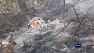 Bukti požar iznad Čačka, zapalilo se preko 10 hektara šume