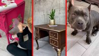 Kaća i njen pas prave čuda: Magična transformacija starog nameštaja u luksuzne komade