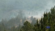 I dalje traje borba sa vatrenom stihijom koja je zahvatila Mokru Goru