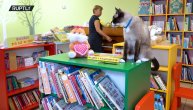 Ovakvu biblioteku još niste videli: Mačka u ulozi zaposlenog