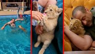 Dremka, pliva, pije mlekce pa ide krevet, a čuva ga ogromna doga: Ovako izgleda život jednog lavića