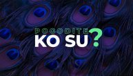 Pogodite ko su: Poznati su kao ptice sa stotinu očiju a po grčkoj mitologiji su simbol večnog života