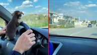 Toliko je mali da staje na volan: Ovo je najmanji "vozač na svetu: