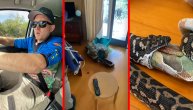 Piton pojeo ćebe jer je mirisalo na psa: Čak i opasni predatori mogu da se zbune
