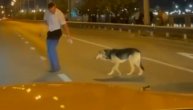 On je pre svega ljudina pa onda saobraćajac: Službenik pomogao psu lutalici da pređe prometnu ulicu