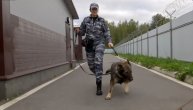 Prelepa Natalija i njen pas pronalaze nestalu decu: Ruska Džej Lo sa ljubimcem rešava teške zločine