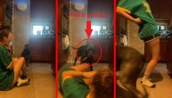 Da, dobro ste videli pasa sa nožem u ustima: Pokušala da se našali sa psom pa bežala za život