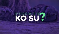 Svoju porodicu su spremni da brane do smrti, a za Vikinge su bili simbol moći: Pogodite ko su?