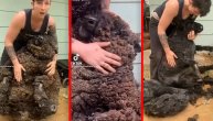 Ovca se ošiša za pet minuta,a njeno krzno je prilični skupo:Evo kako se prave topli džemperi i jakne
