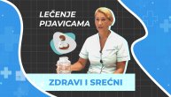 Piju krv, ali i leče: Uz pomoć pijavica se nekada snižavao visok krvni pritisak