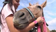 Natalija spasava konje i kamile osuđene na smrt: Lepotica u službi humanosti