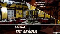 Sve tajne kafane "Tri šešira": Još jedna tura pića za druga Tita i Sofiju Loren!