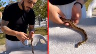 Darko Lazić objavio snimak kako se igra sa pitonom