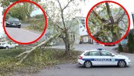 Na Voždovcu palo drvo preko ulice od jakog vetra, saobraćaj otežan u ovom delu Beograda