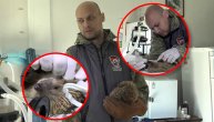 Veterinari uspavali malo biće i dali mu nov život: Ježića isekla kosilica